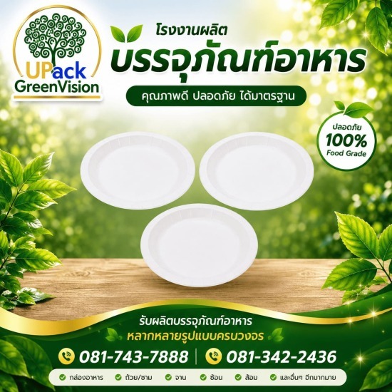 จานโฟม ราคาส่ง